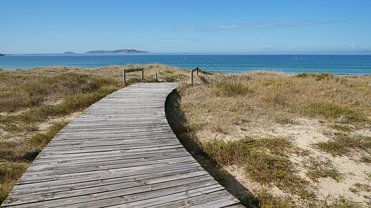 西班牙加利西亚O Grove附近海滩栖息地海岸线海岸风景生物海景旅游全景农村环境背景