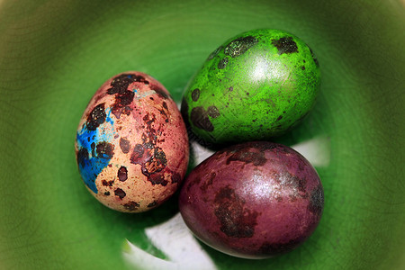 复活蛋个性物体活动后院彩蛋飞溅动物节日创造力水平图片