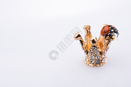昆虫公主一只小型冠上的Ladybug背景