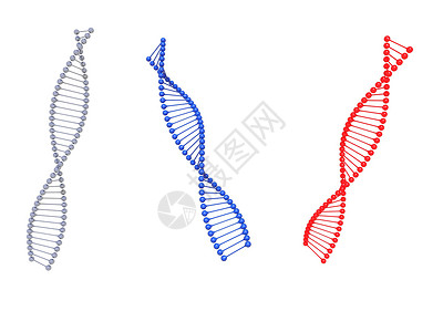 DNA技术展板它上面的 dna 符号在白色背景中被隔离  3d 渲染生活生物研究医疗科学蓝色生物学细胞螺旋插图背景