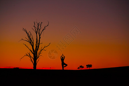 瑜伽树式日落冥想 Vriksasana背景