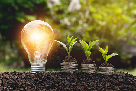 灯泡灯节省能源的灯泡和在硬币堆上生长的树木金融技术财富植物创新活力商业现金创造力银行业背景