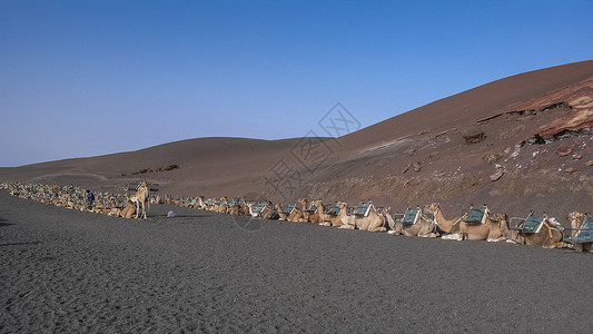 日耳曼兰萨罗特岛的详情橙子火山黑色生产植被假期绿色天空圆圈旅行背景