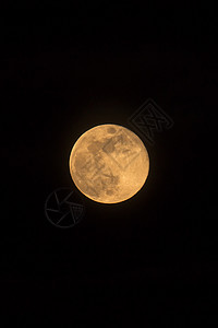 满月照片蓝月亮升起相片尺寸背景