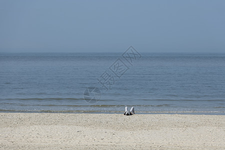 绅士吴秀波一个人在海滩上晒日光浴背景