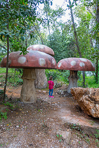 爱丽丝学园一个操场上的红木蘑菇生长魔法教育公园食物草地花园艺术丛林孩子背景
