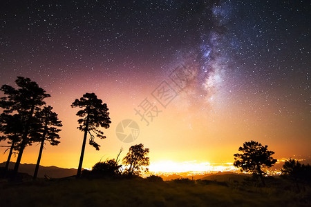 星星般的天空 挤奶的方式 长期暴露的照片 夜色风景黑暗云杉天文学星系松树箭矢夜景顶峰蓝色星群背景