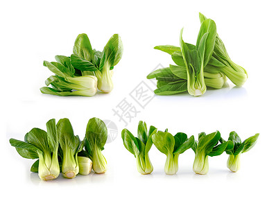 千元Bokchoy中国卷心菜在白色上被孤立农场美食营养芸苔饮食搅拌植物烹饪蔬菜叶子背景