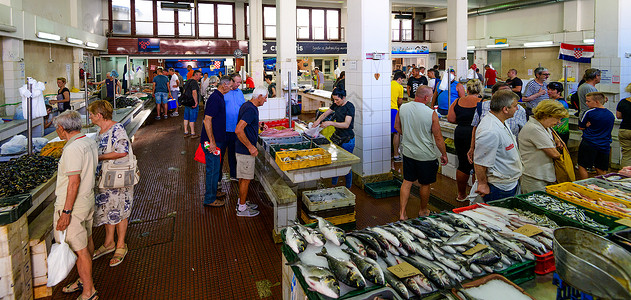 行业和市场扎达尔的鱼市是克罗地亚最大和供应量最好的市场之一 吸引了许多买家店铺厨房海鲜饮食烹饪销售食物动物营销钓鱼背景