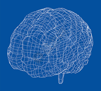 大脑图3D 轮廓布莱药品智力天才3d绘画记忆艺术小脑标签大脑背景