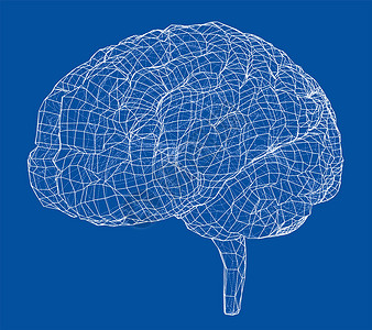 分子图3D 轮廓布莱智慧皮层药品解剖学大脑头脑科学草图记忆3d背景