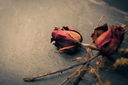 玫瑰花瓣PNG干玫瑰花特写玫瑰花瓣叶子遗憾工作室情感浪漫岩石假期美丽背景