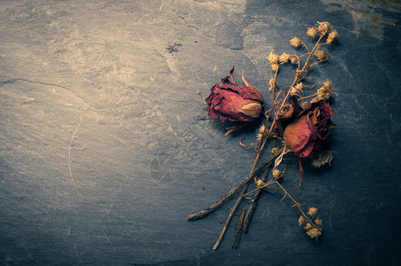 玫瑰花瓣PNG斯通干玫瑰花的特写叶子花瓣岩石宏观工作室团体情感玫瑰生活假期背景