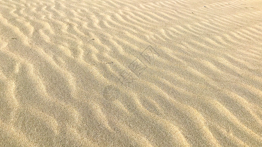 海滩沙漠砂背景纹理金子旅行场景海岸假期宏观海洋气候涟漪地面背景