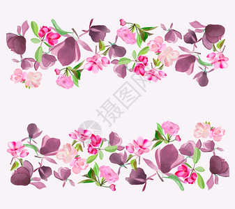 肉粉色水彩花朵花环鲜花木兰 粉红樱桃和苹果树背景