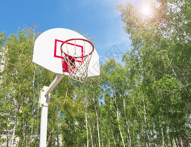 篮球门素材公园的篮球洞 在一棵绿树上街道分数乐园篮板娱乐戒指竞赛儿童篮子硬件背景