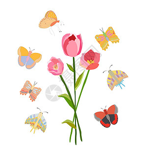 手绘蝴蝶群以蝴蝶为例的春花绘画草本植物白色海报植物学草本叶子卡通片草地草图背景