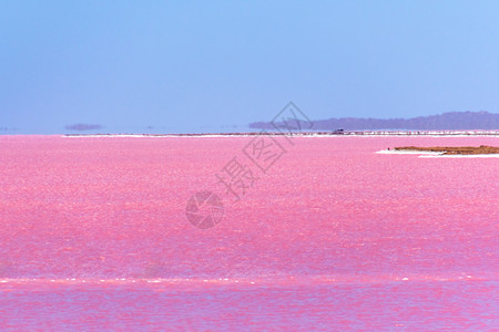 埃尔海市蜃楼湖西澳大利亚州Gregory旁边的粉红湖 地平线上有幻影背景