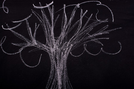用粉笔在黑板上手绘树生态孩子们草图假期环境卡片创造力绿色松树白色背景图片