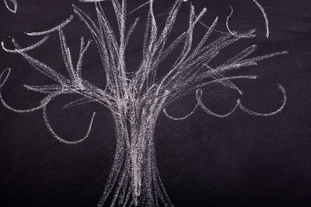 用粉笔在黑板上手绘树草图创造力教育松树绘画梦幻生态假期孩子们绿色背景图片