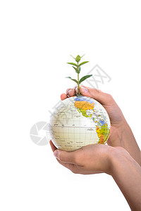 手握树木在球上行星种植环境教学绿色幼苗世界背景图片