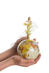 手握树木在球上绿色种植环境幼苗教学行星世界背景图片