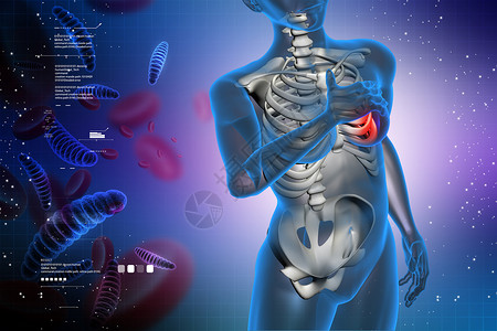 疼痛海报胸痛 医疗概念生物学男人胸部插图感染防御女士身体免疫科学背景