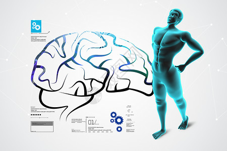 男性与男性的大脑插图白色技术智力器官小脑智慧医疗记忆生物学背景