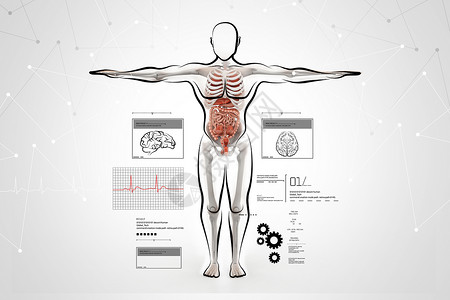 人体肌肉系统人体解剖生物科学姿势器官保健身体疼痛测试射线插图背景