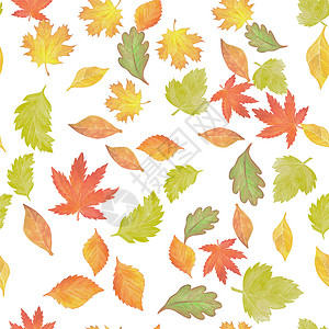 水彩风碗面无缝模式与水彩秋假叶子植物插图森林花园绘画墙纸橡木植物群橡子背景
