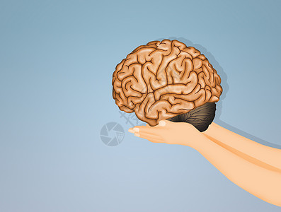 大脑在手女孩科学女士心理学插图头脑天才创造力疾病人体背景图片