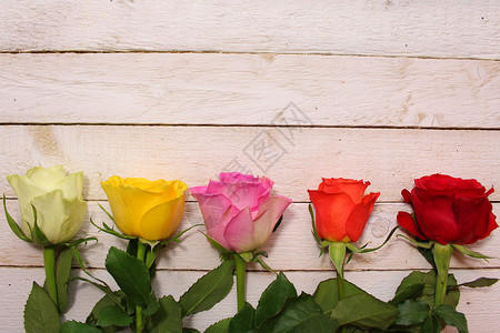带有多彩玫瑰的边框边界花束结婚木板婚礼鲜花背景图片