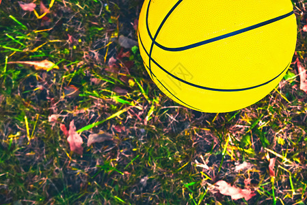 用于排球或草场篮球的亮黄色球操场运动娱乐体育竞赛器材橙子游戏背景图片