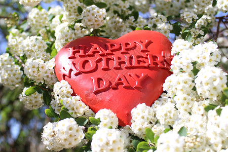 在雪莓树丛中 红心与幸福母亲节的文字装饰花朵美丽聚果母亲庆典背景图片