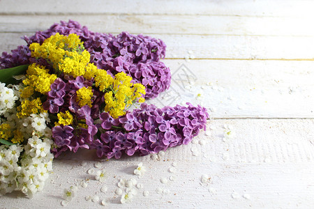 紫色硅酸和甜味羊肉贺卡背景设计花卉淡紫色紫丁香问候鲜花边框背景图片