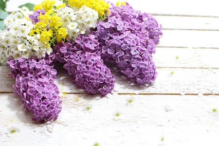 紫色硅酸和甜味羊肉淡紫色鲜花设计花卉紫丁香背景贺卡问候边框背景图片