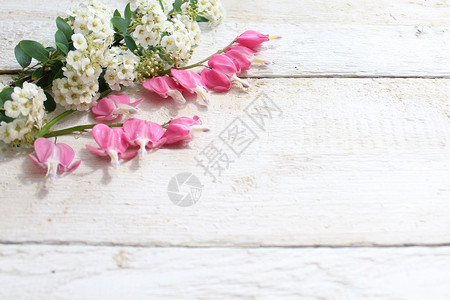 白板上的春花植物群奇观花卉灯笼草聚果木板边框鲜花木头花束背景图片