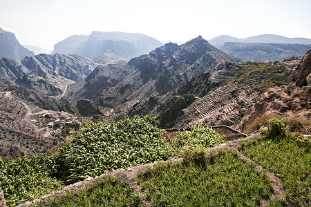贾巴尔阿曼Saiq高原和梯田种植图景背景