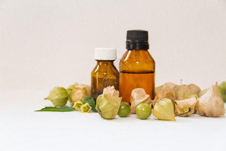芳香药用植物 可用作抗生素藤蔓心子豆子白色种子药物三角形草药树木树叶背景图片