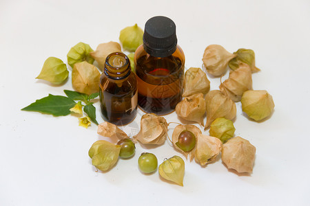 芳香药用植物 可用作抗生素三角形种子绿色草药药物疗法豆子藤蔓树木心子背景图片
