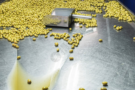 橄榄的排序生产萃取收成金属商业机器铣削食物农业黑色背景图片