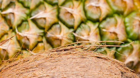 菠萝底底座的椰子切片背景图片