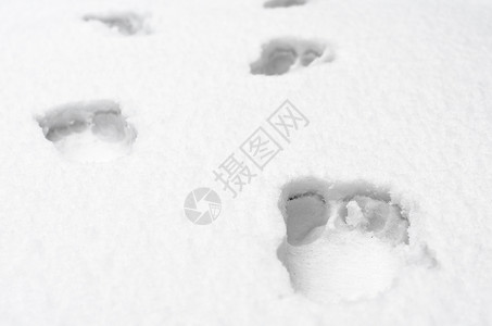 白雪上裸露的人类脚足足迹白色人脚雪纹模式季节脚印雪地图案痕迹背景图片