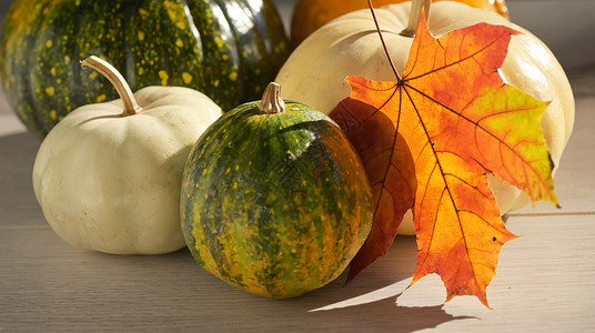 叶子秋叶 白木上有南瓜装饰品树叶框架季节食物橙子庆典感恩卡片木头背景图片