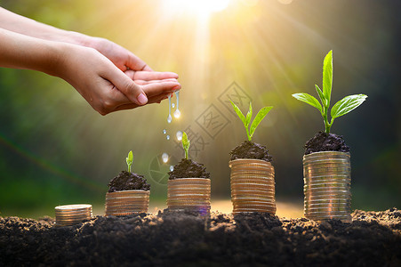 负手而立上树硬币展示了商业增长的理念 而货币增长则以储蓄资金为目的财富繁荣基金帮助叶子银行业网络植物肥料伙伴背景