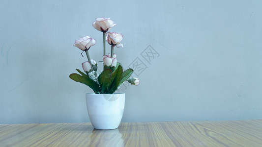桌子上有美丽的玫瑰花 复制空间房间供您放假背景装饰的文字用 笑声风格花瓣植物花头季节绿色粉色婚礼礼物假期背景图片