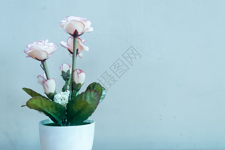 桌子上有美丽的玫瑰花 复制空间房间供您放假背景装饰的文字用 笑声礼物粉色植物学家居绿色花瓣复古植物风格叶子背景图片