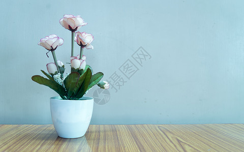 桌子上有美丽的玫瑰花 复制空间房间供您放假背景装饰的文字用 笑声家居复古花头季节叶子假期植物学花瓣绿色婚礼背景图片