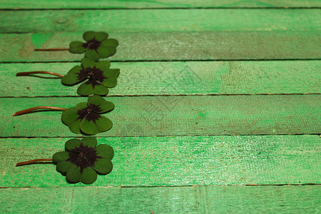 绿色板上幸运的三叶草叶子树叶绿色木板运气好运四叶草背景图片
