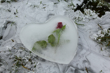 冰冰冰的心 在冰冻的水上加玫瑰爱心恋人爱的心热情妈妈婚礼情怀母亲背景图片